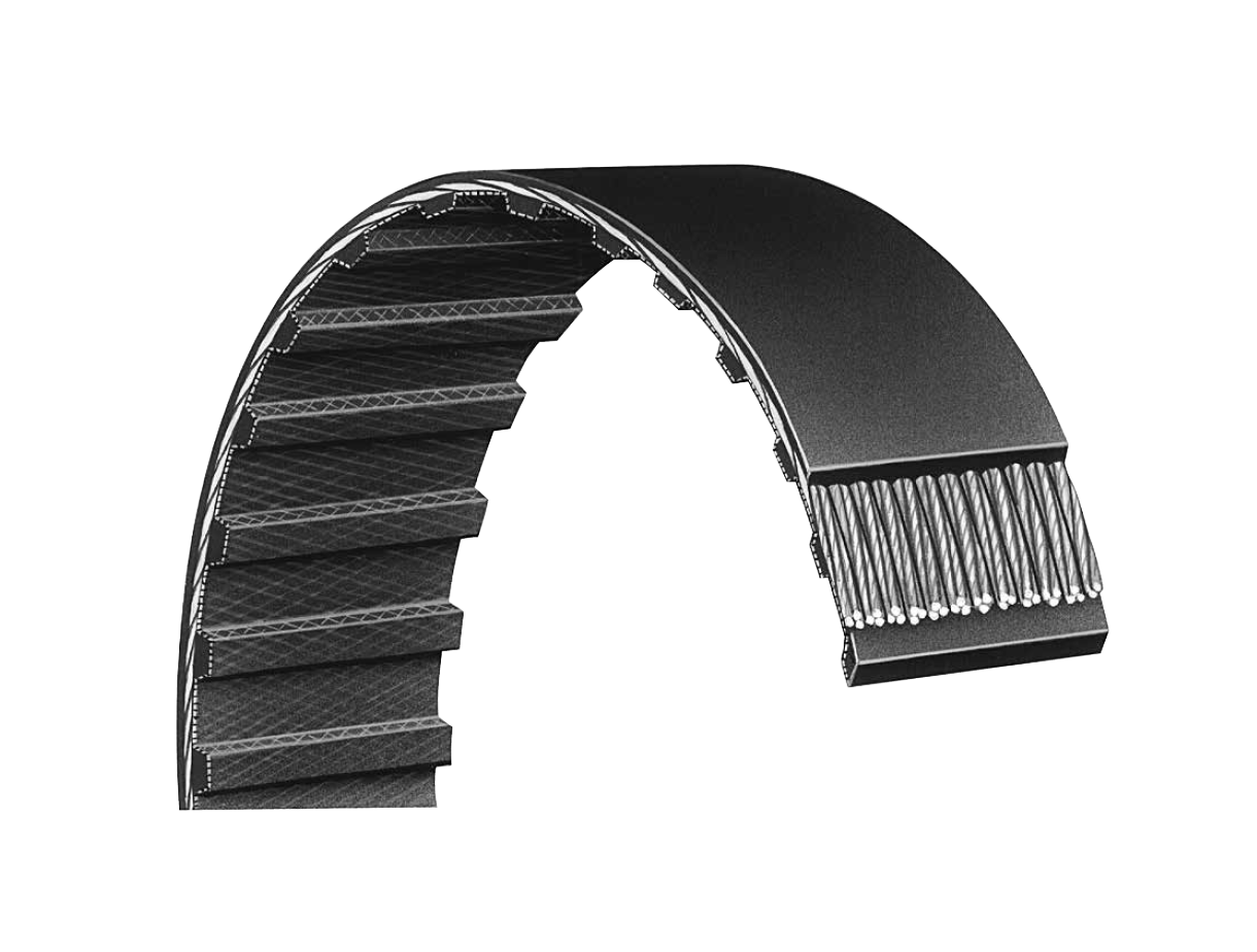 Correas Dentadas Clásicas