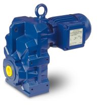 Motorreductores de Ejes Paralelos BGM BF
