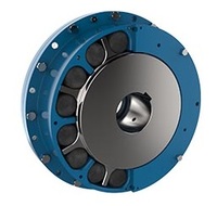 Acoplamientos Flexibles de la serie RBI Renold