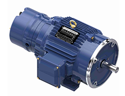 Marathon 3 Phase Blue Max 2000 Brake Motors