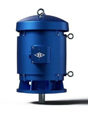 Motores para Bombas Verticales de Reuland