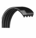 130J10 V Ribbed Belt