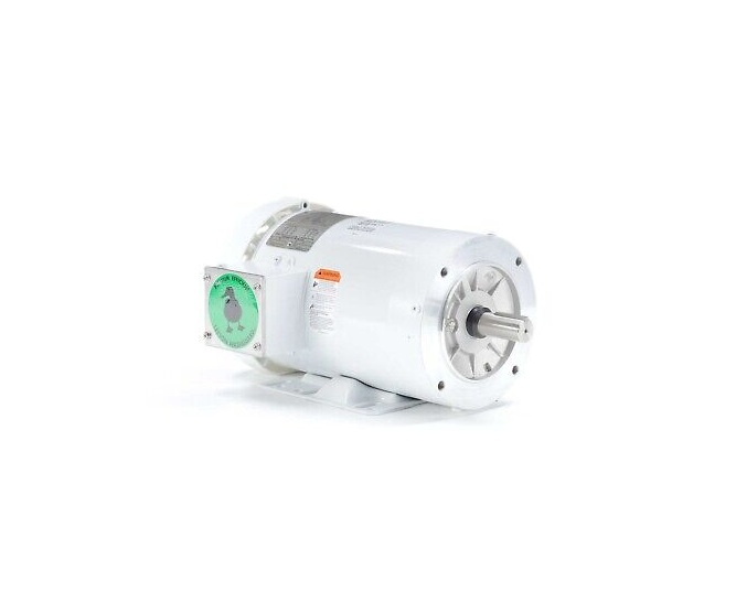 LEESON 121870.00 C145T34WK28A General Purpose Motor